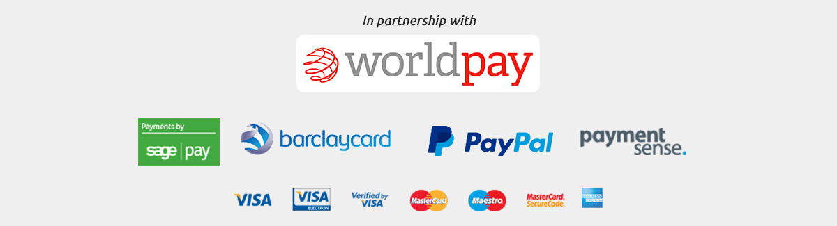 Secure Online Payment Providers